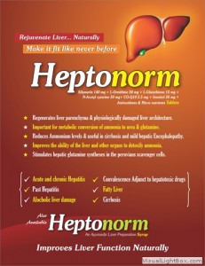 heptonorm        